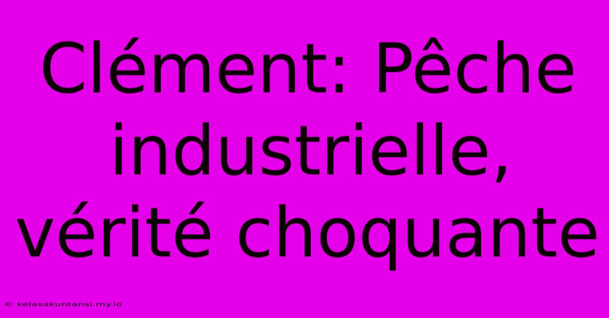 Clément: Pêche Industrielle, Vérité Choquante