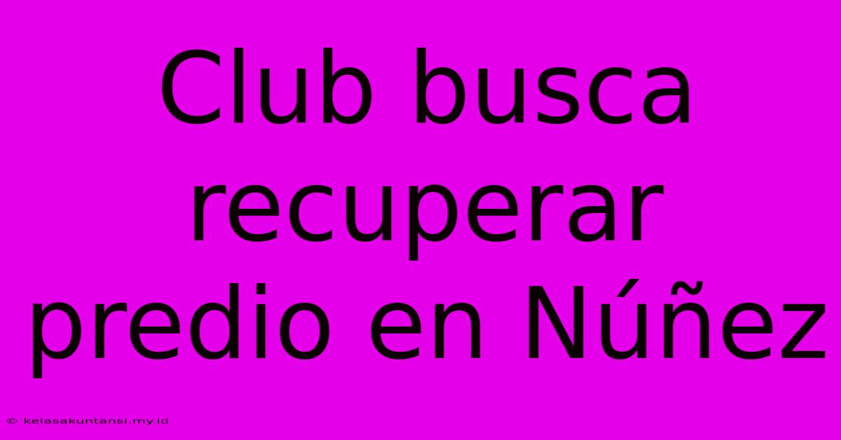 Club Busca Recuperar Predio En Núñez