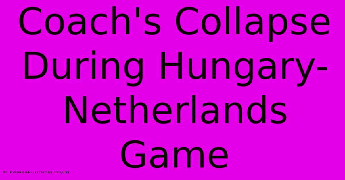 Coach's Collapse During Hungary-Netherlands Game