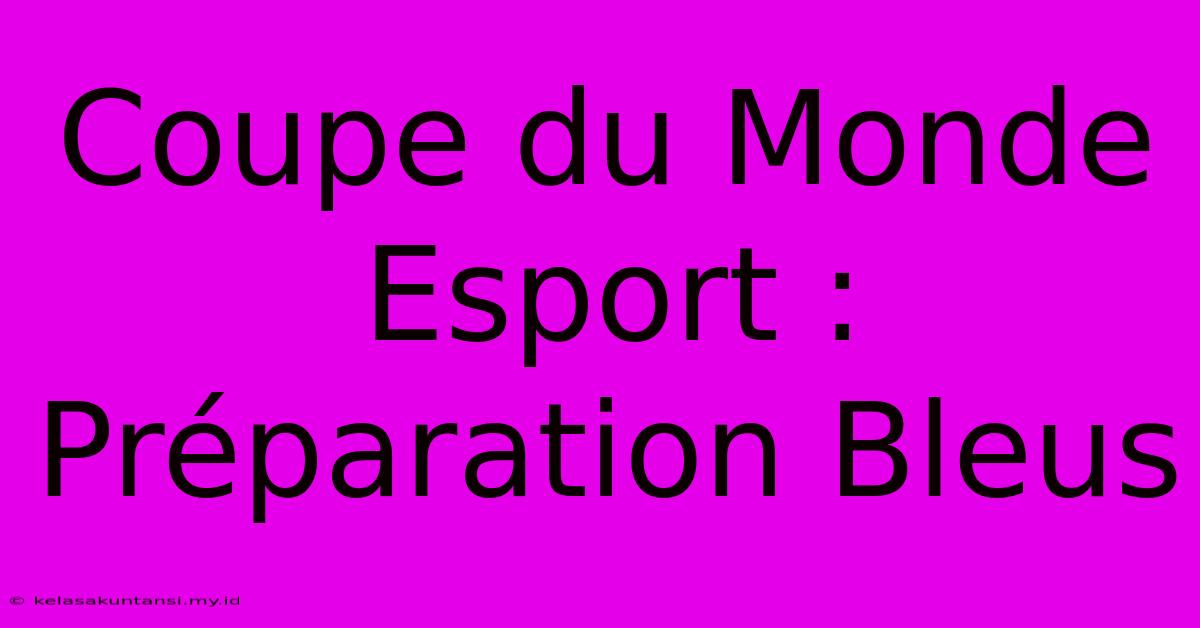 Coupe Du Monde Esport : Préparation Bleus Coupe Du Monde Esport : Préparation Bleus