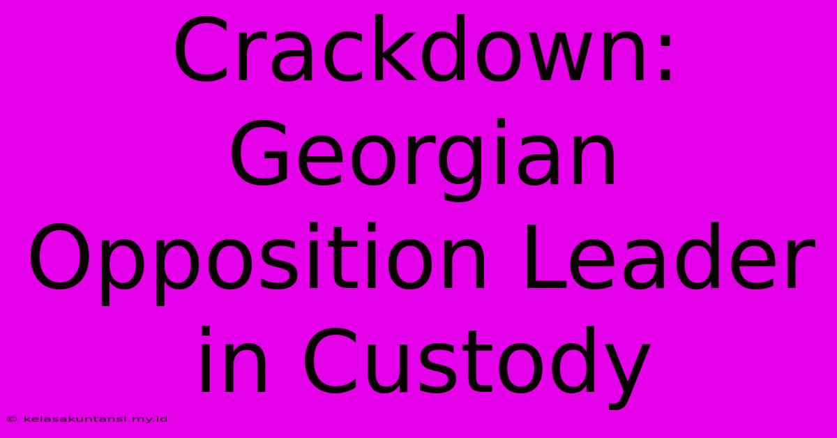 Crackdown: Georgian Opposition Leader In Custody