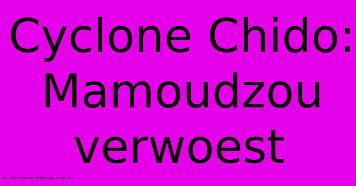 Cyclone Chido: Mamoudzou Verwoest