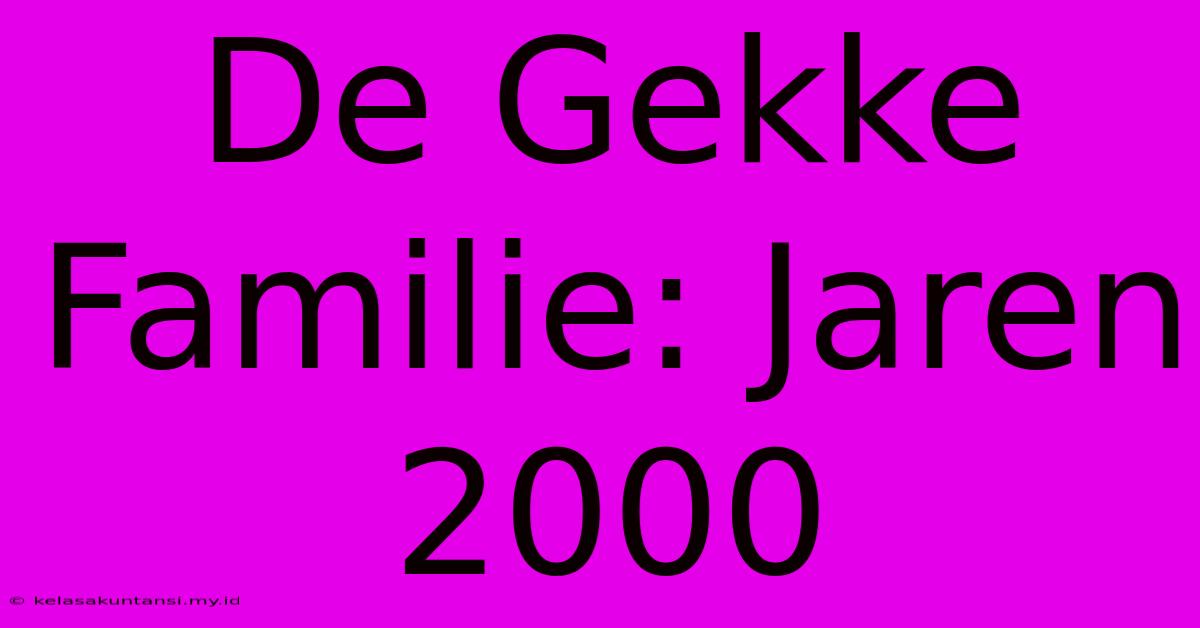 De Gekke Familie: Jaren 2000