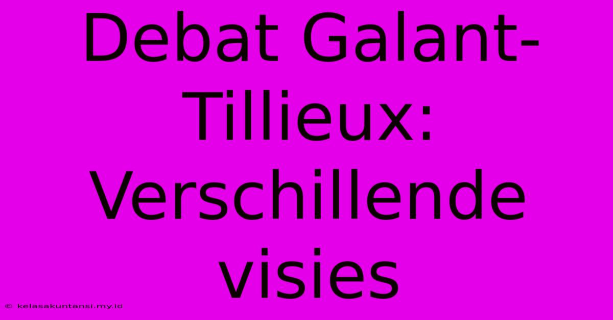 Debat Galant-Tillieux: Verschillende Visies