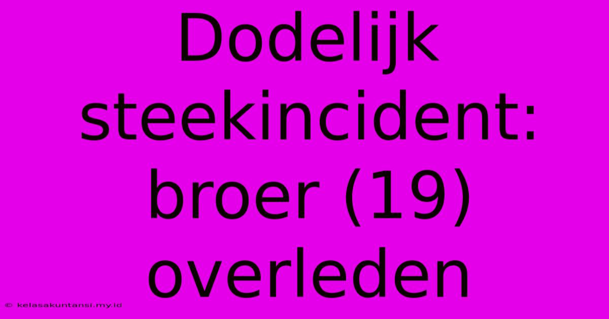 Dodelijk Steekincident: Broer (19) Overleden