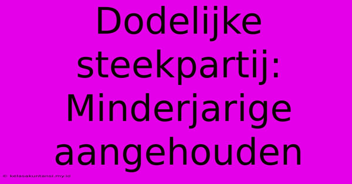 Dodelijke Steekpartij:  Minderjarige Aangehouden