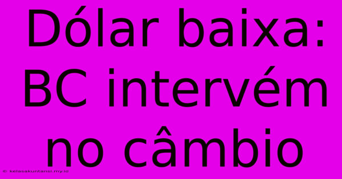 Dólar Baixa: BC Intervém No Câmbio