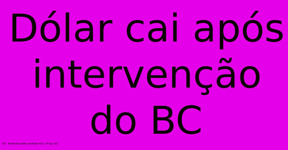 Dólar Cai Após Intervenção Do BC