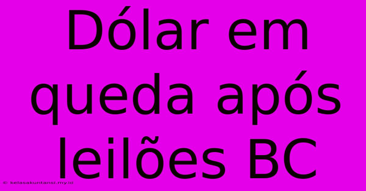 Dólar Em Queda Após Leilões BC