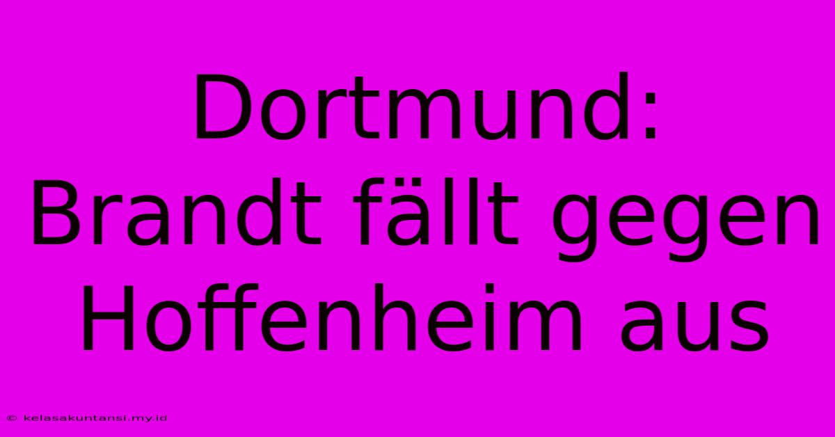 Dortmund: Brandt Fällt Gegen Hoffenheim Aus