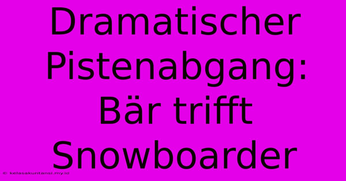 Dramatischer Pistenabgang: Bär Trifft Snowboarder