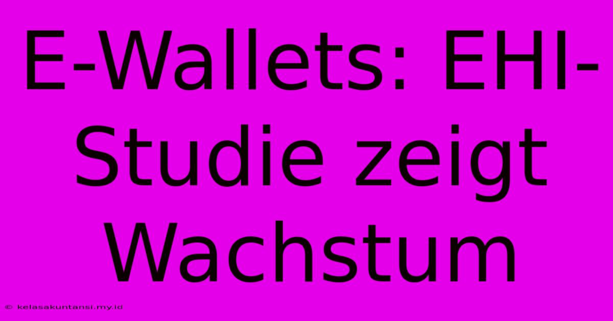 E-Wallets: EHI-Studie Zeigt Wachstum