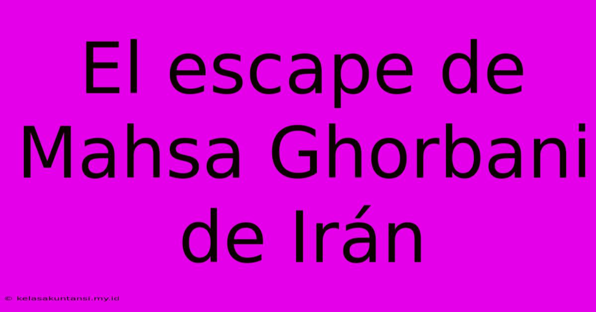 El Escape De Mahsa Ghorbani De Irán