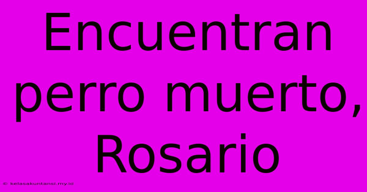 Encuentran Perro Muerto, Rosario