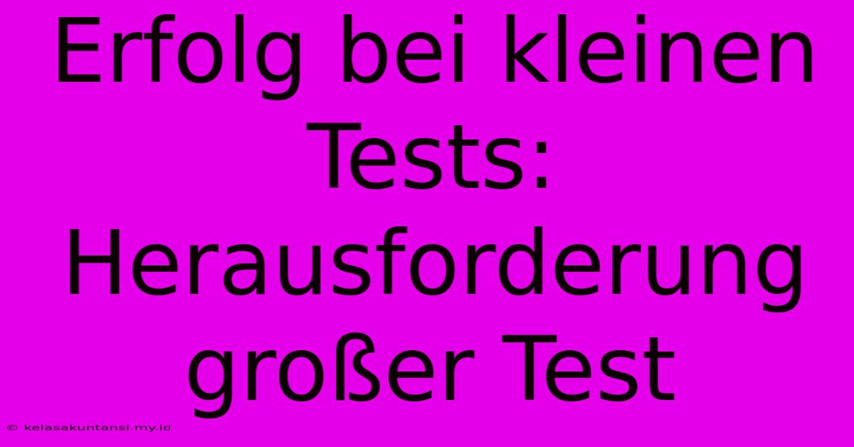 Erfolg Bei Kleinen Tests: Herausforderung Großer Test