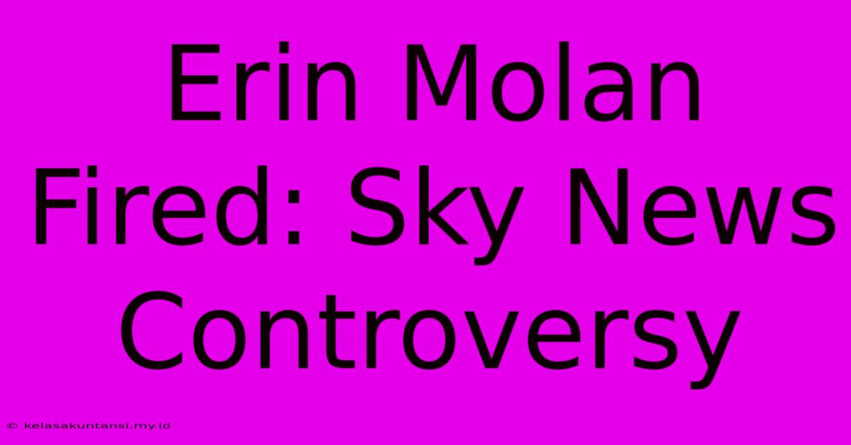 Erin Molan Fired: Sky News Controversy