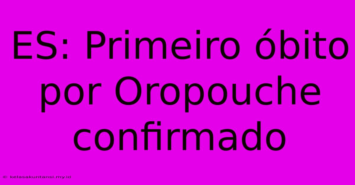 ES: Primeiro Óbito Por Oropouche Confirmado