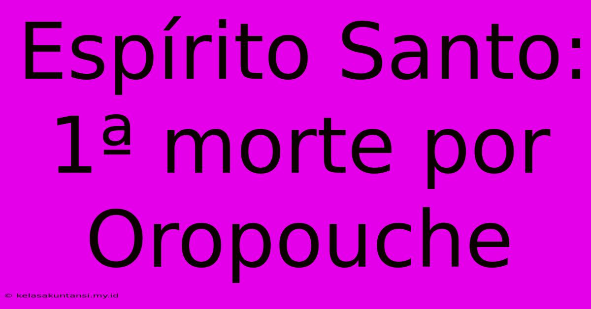 Espírito Santo: 1ª Morte Por Oropouche