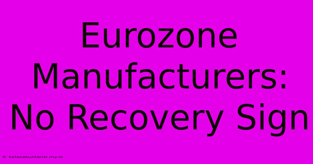 Eurozone Manufacturers: No Recovery Sign