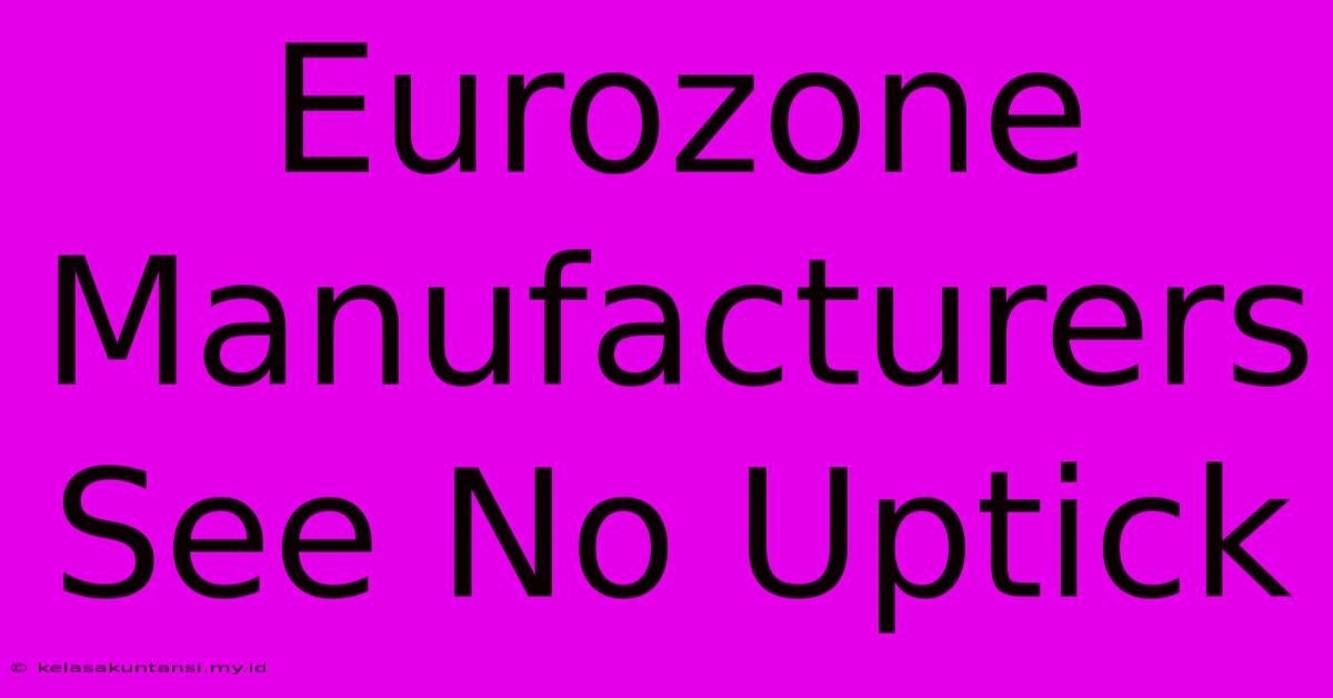 Eurozone Manufacturers See No Uptick