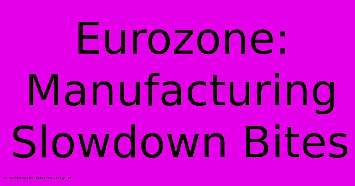 Eurozone: Manufacturing Slowdown Bites