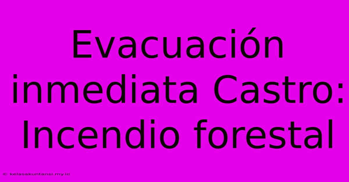 Evacuación Inmediata Castro: Incendio Forestal