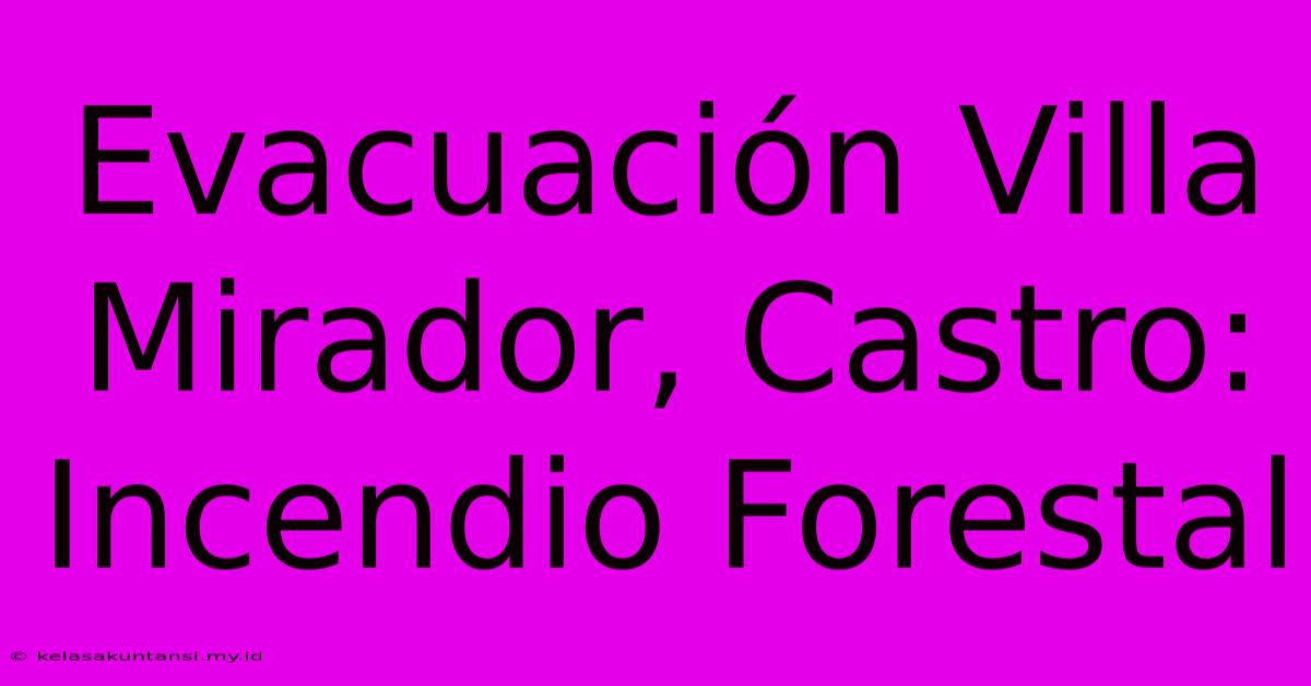 Evacuación Villa Mirador, Castro: Incendio Forestal