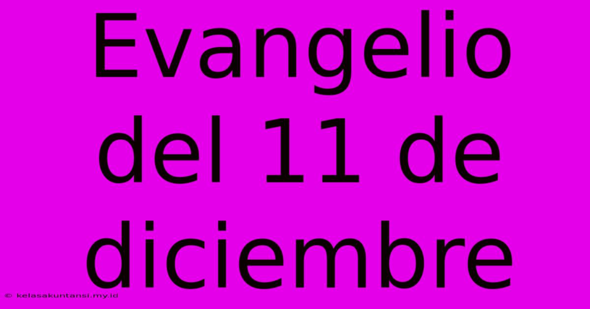 Evangelio Del 11 De Diciembre