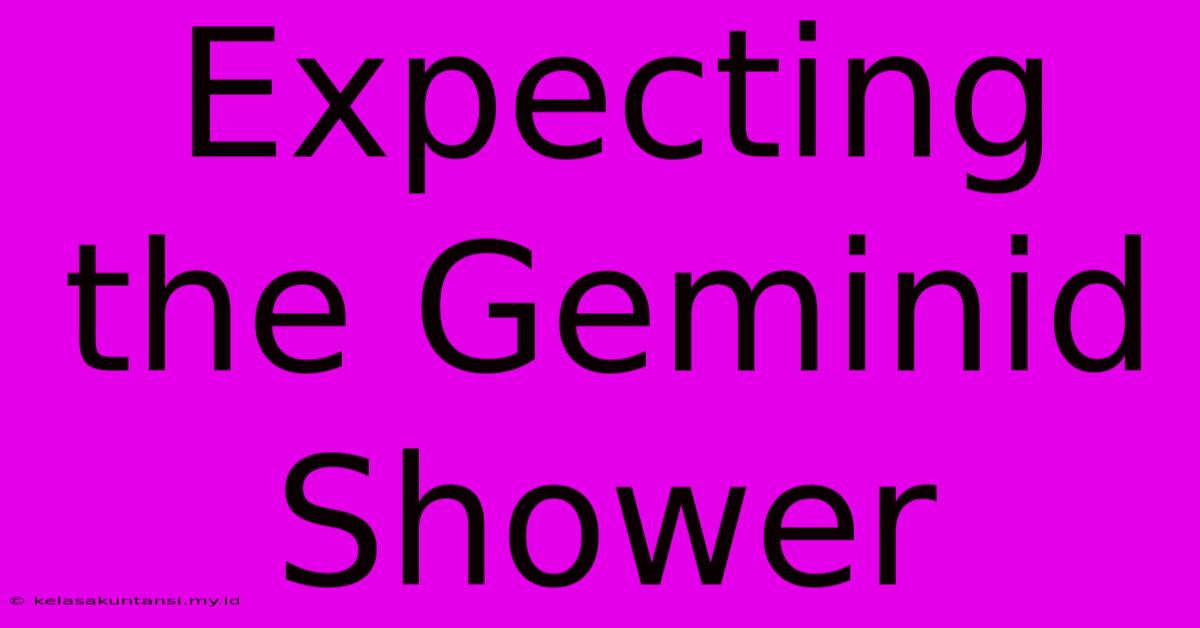 Expecting The Geminid Shower