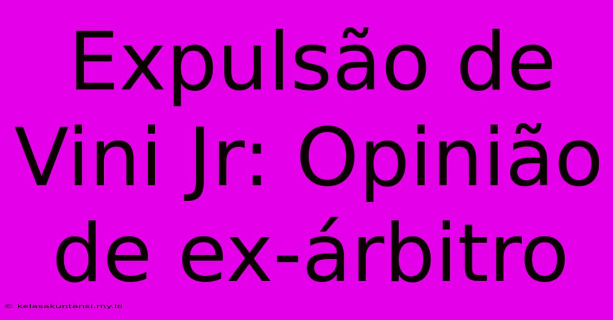 Expulsão De Vini Jr: Opinião De Ex-árbitro