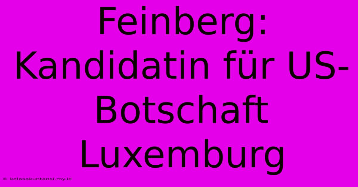 Feinberg: Kandidatin Für US-Botschaft Luxemburg