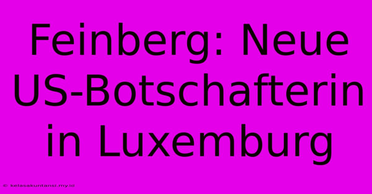 Feinberg: Neue US-Botschafterin In Luxemburg