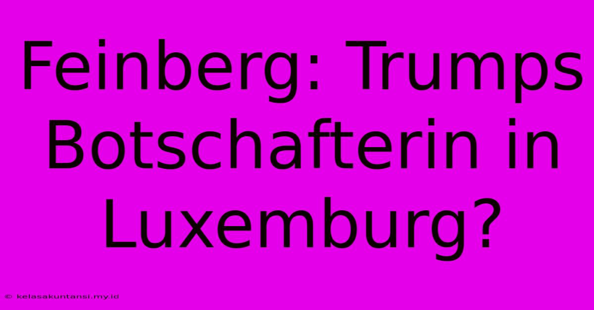 Feinberg: Trumps Botschafterin In Luxemburg?