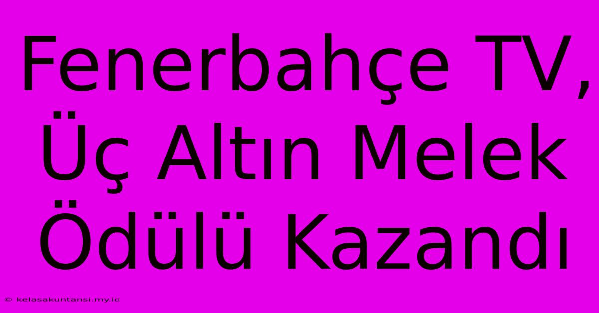 Fenerbahçe TV, Üç Altın Melek Ödülü Kazandı