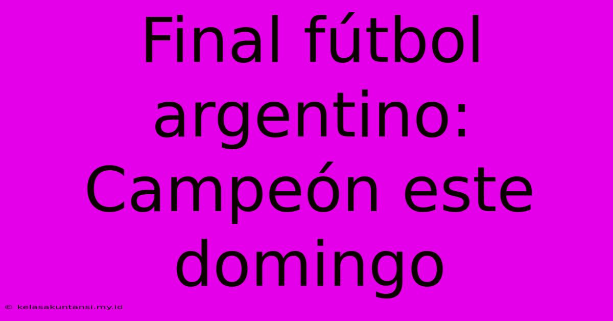 Final Fútbol Argentino: Campeón Este Domingo