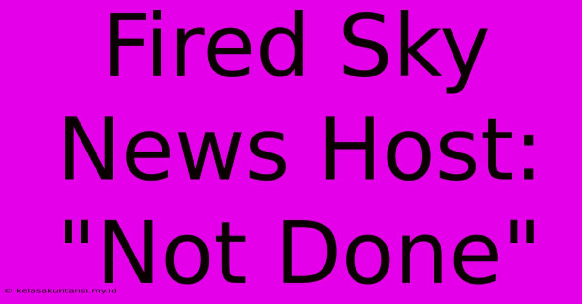 Fired Sky News Host: 