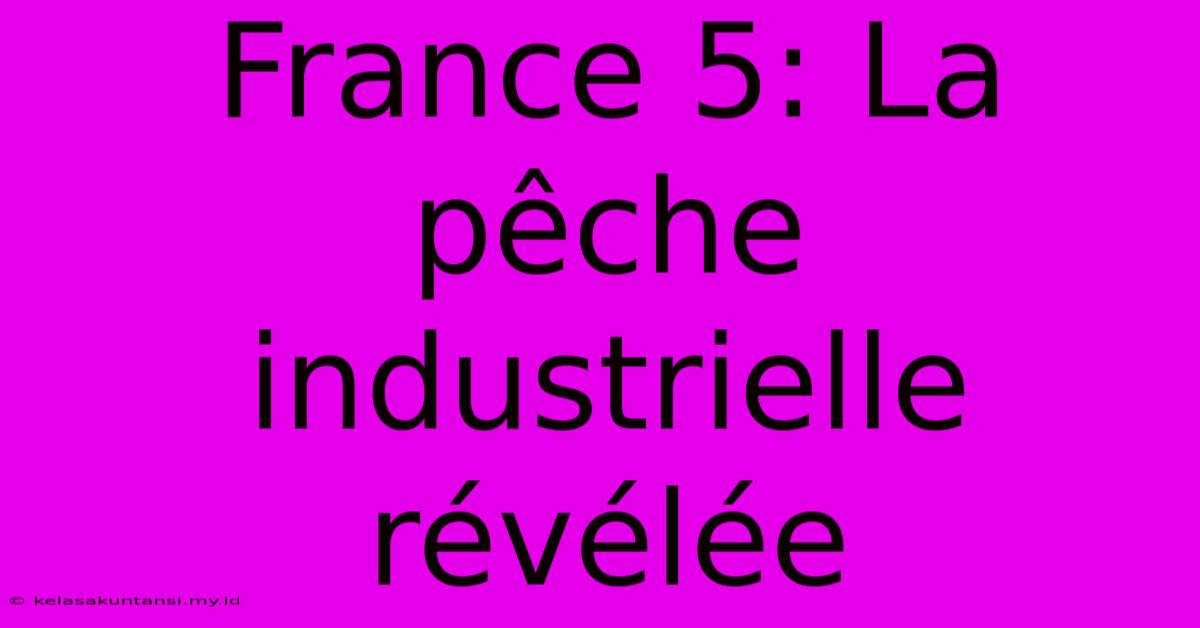 France 5: La Pêche Industrielle Révélée