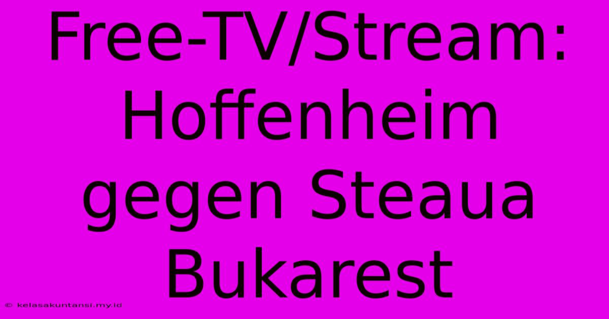 Free-TV/Stream: Hoffenheim Gegen Steaua Bukarest