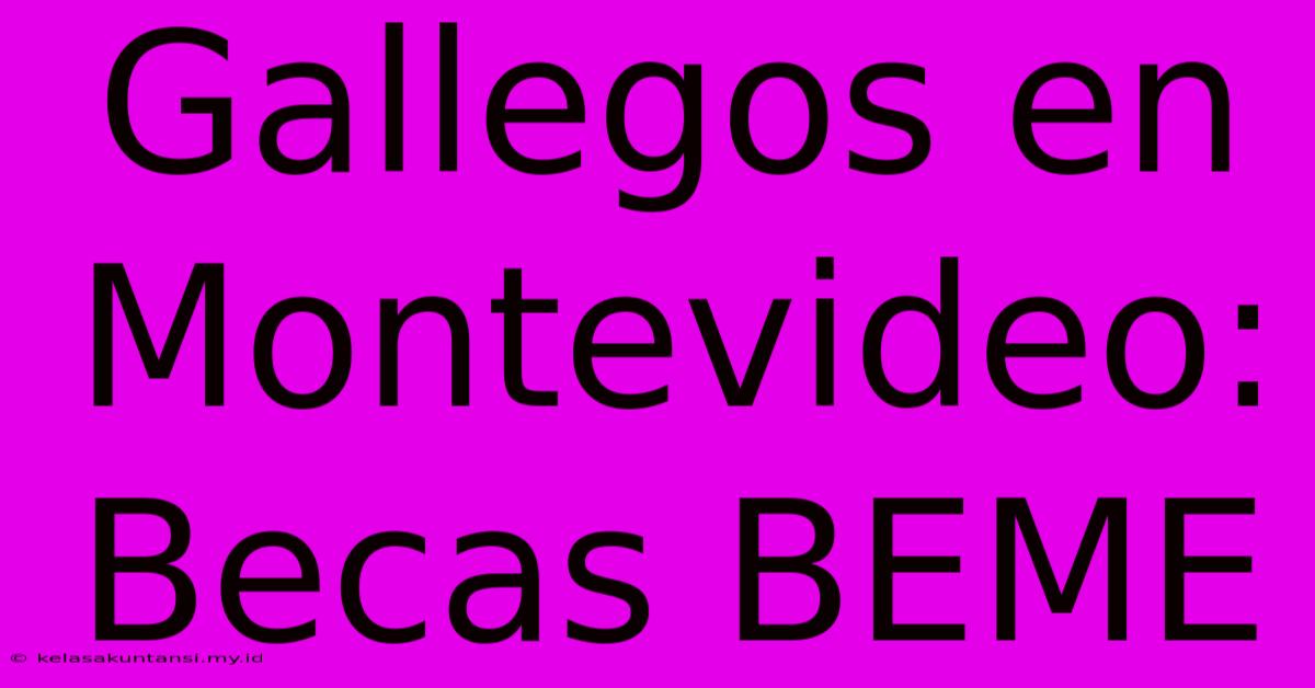 Gallegos En Montevideo: Becas BEME