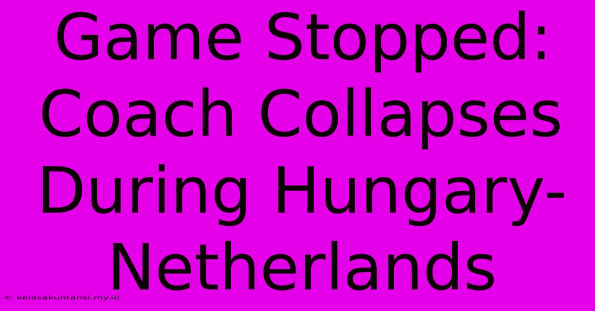 Game Stopped: Coach Collapses During Hungary-Netherlands