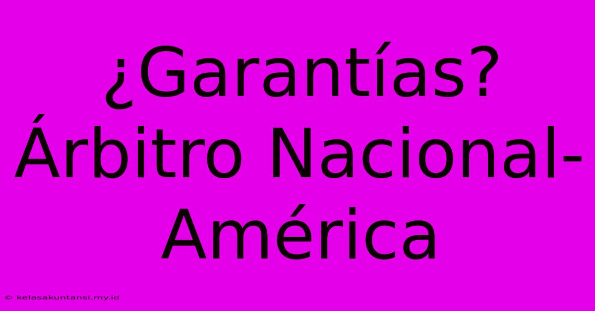 ¿Garantías? Árbitro Nacional-América