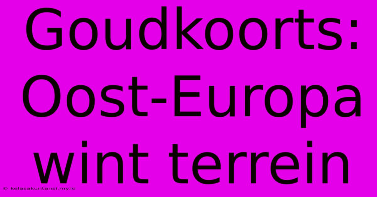 Goudkoorts: Oost-Europa Wint Terrein