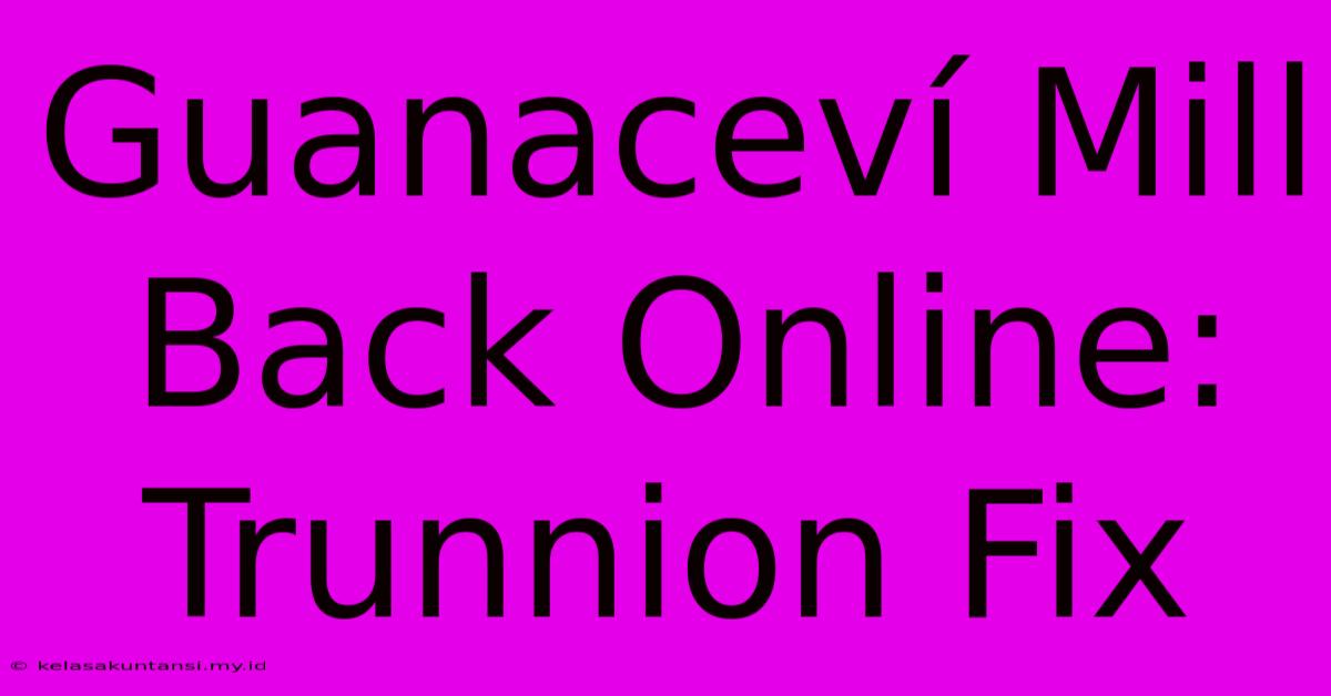 Guanaceví Mill Back Online: Trunnion Fix