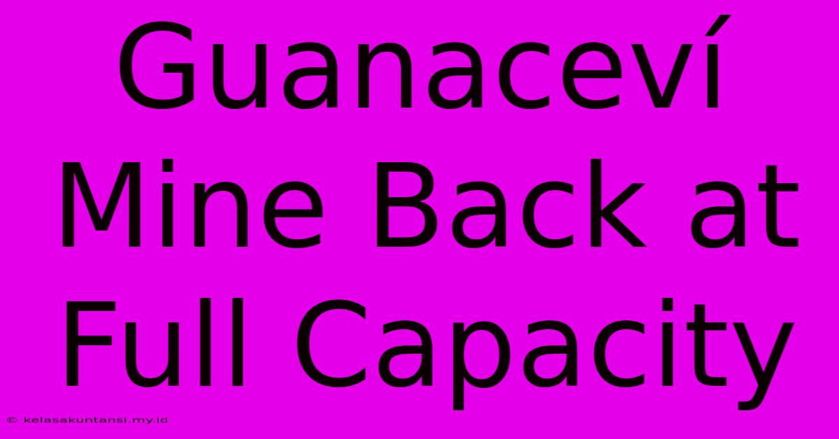 Guanaceví Mine Back At Full Capacity