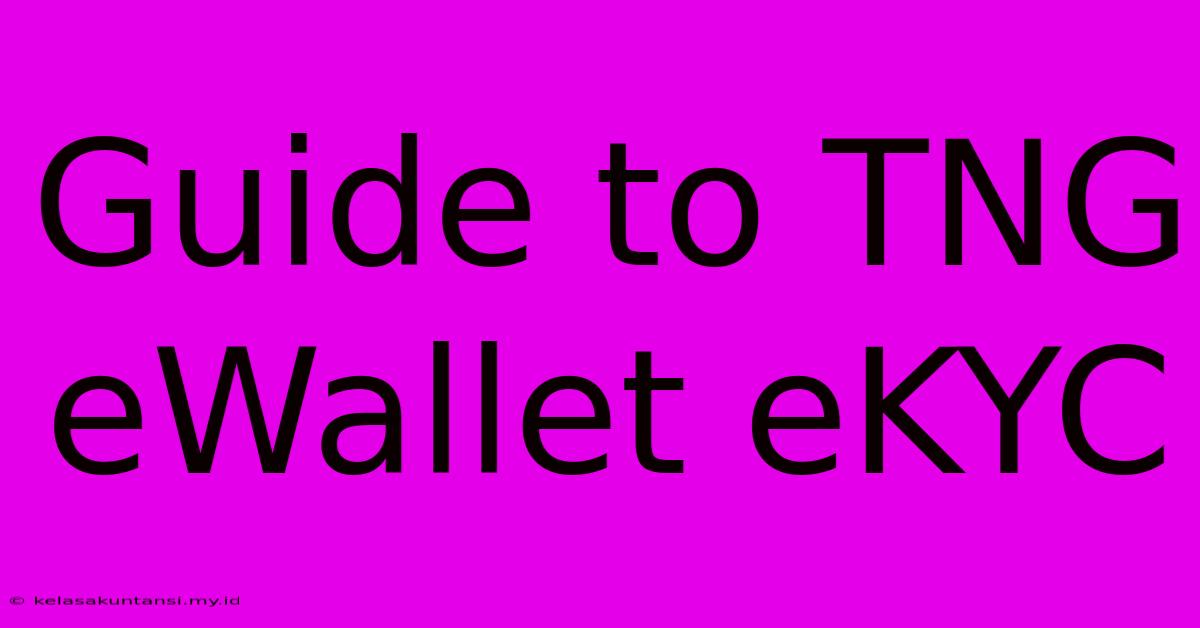 Guide To TNG EWallet EKYC