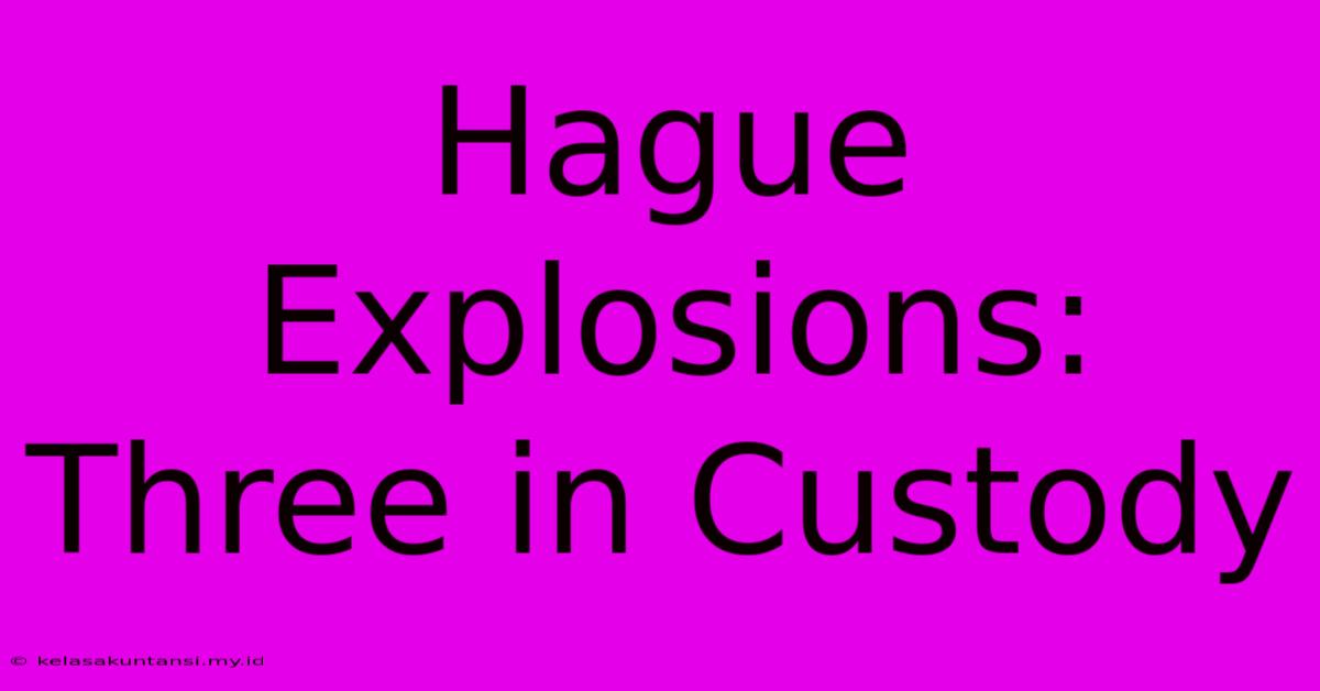 Hague Explosions: Three In Custody