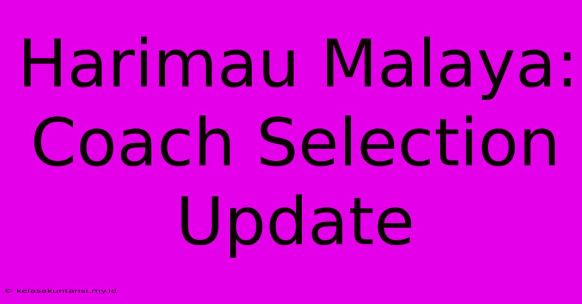 Harimau Malaya: Coach Selection Update