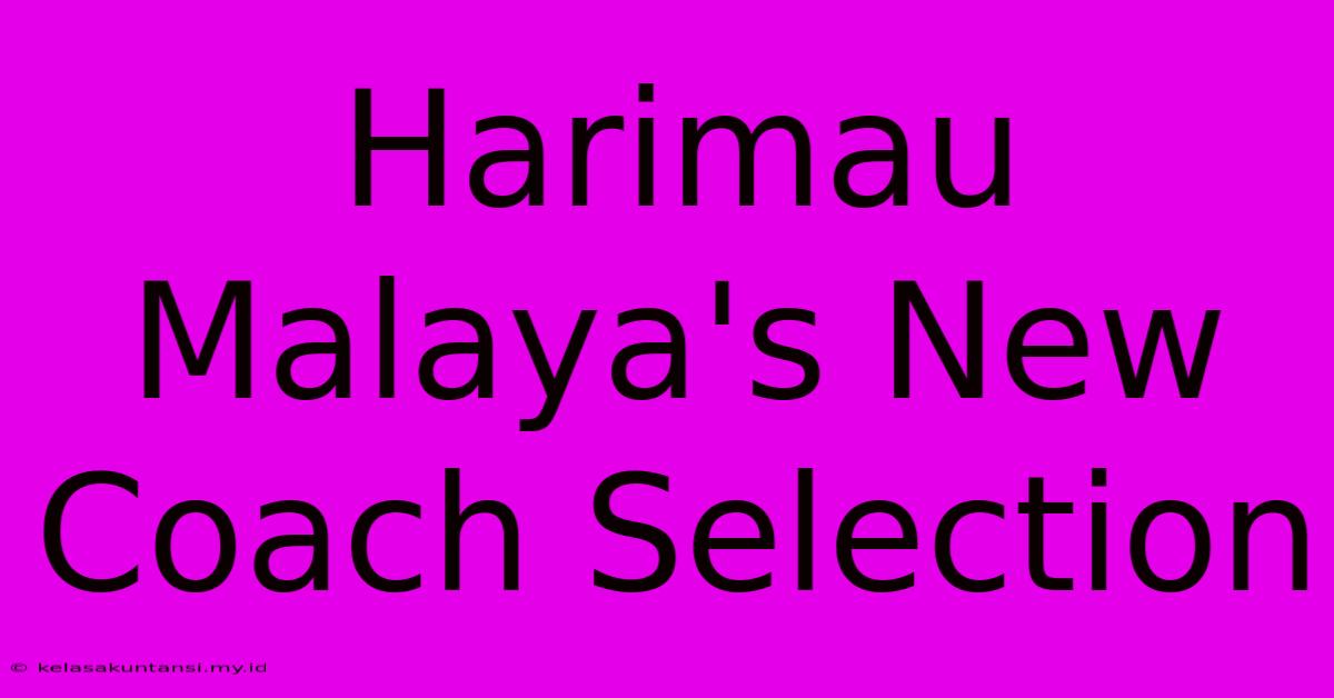 Harimau Malaya's New Coach Selection