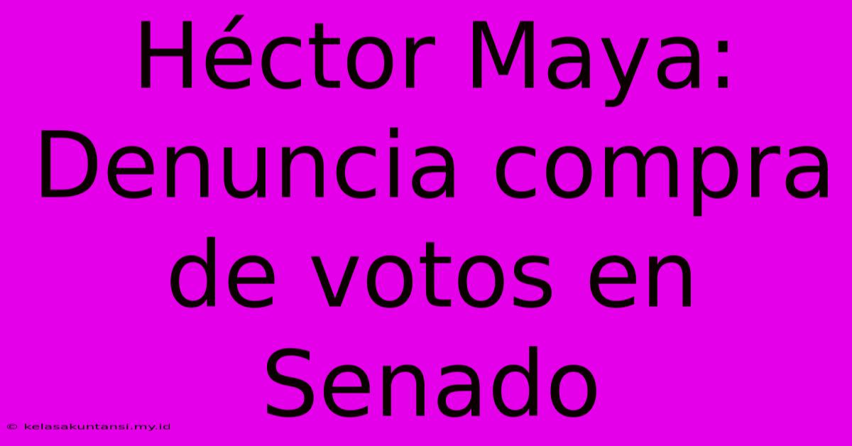 Héctor Maya: Denuncia Compra De Votos En Senado