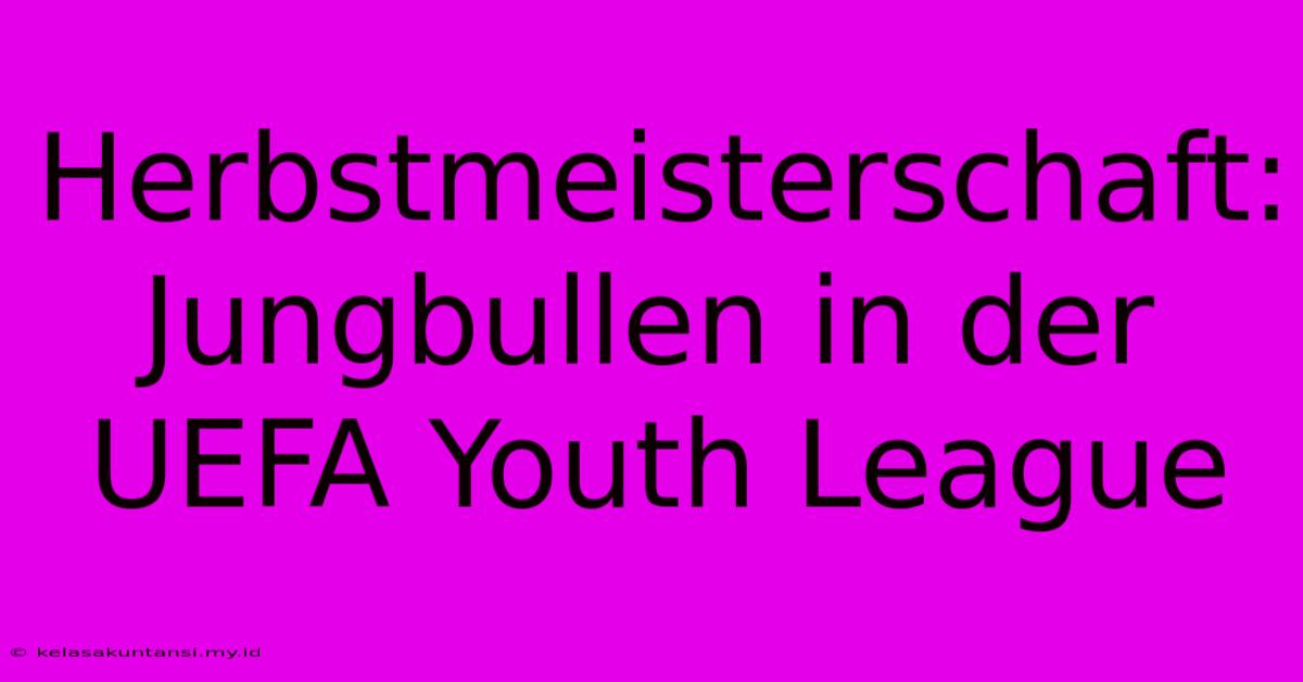 Herbstmeisterschaft: Jungbullen In Der UEFA Youth League